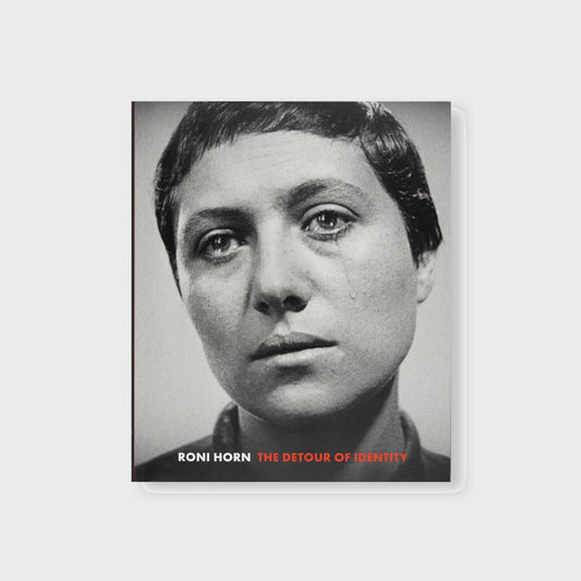 THE DETOUR OF IDENTITY by Roni Horn