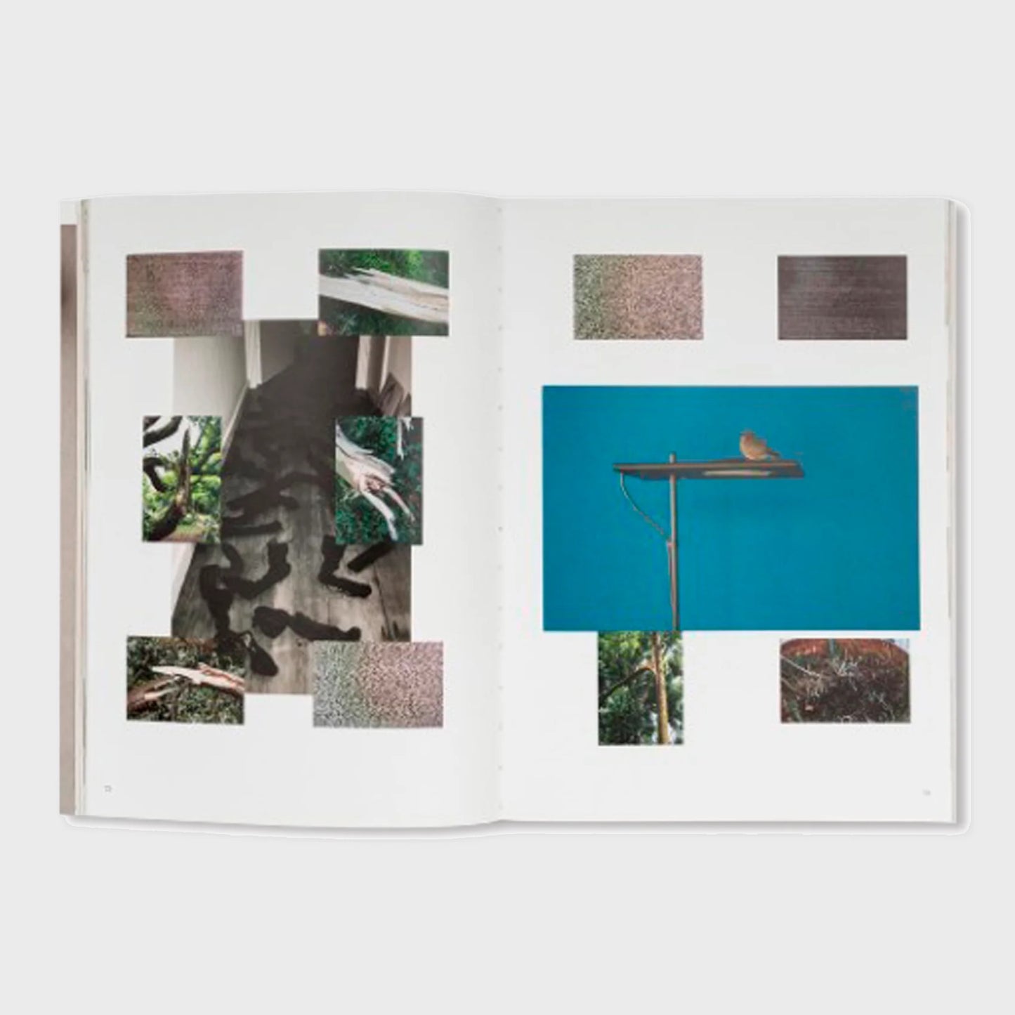 WOLFGANG TILLMANS: THINGS MATTER, DINGE ZÄHLEN by Wolfgang Tillmans