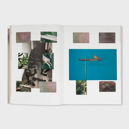 WOLFGANG TILLMANS: THINGS MATTER, DINGE ZÄHLEN by Wolfgang Tillmans