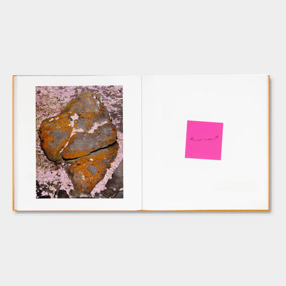 ADVICE FOR YOUNG ARTISTS by Alec Soth [SIGNED]