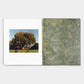 THE BRITISH ISLES by Jamie Hawkesworth [SIGNED]